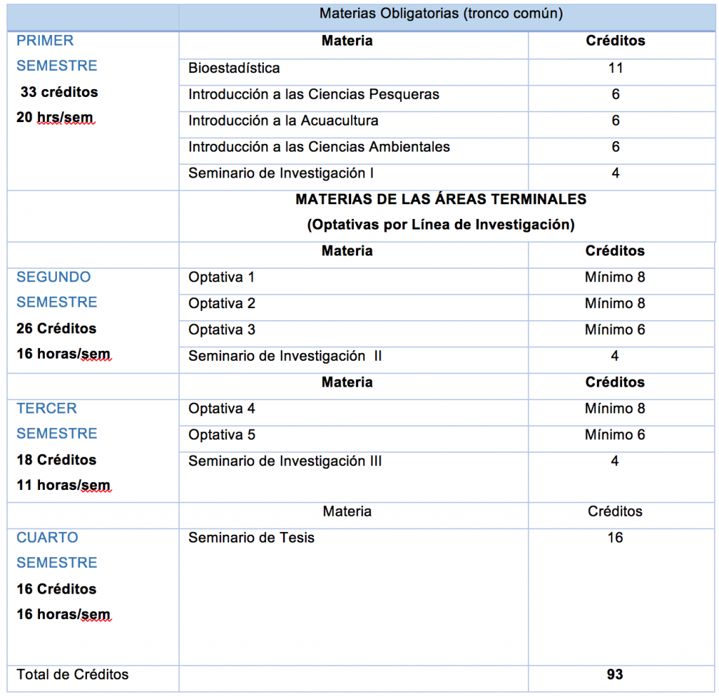 mapa_curricular_maestria